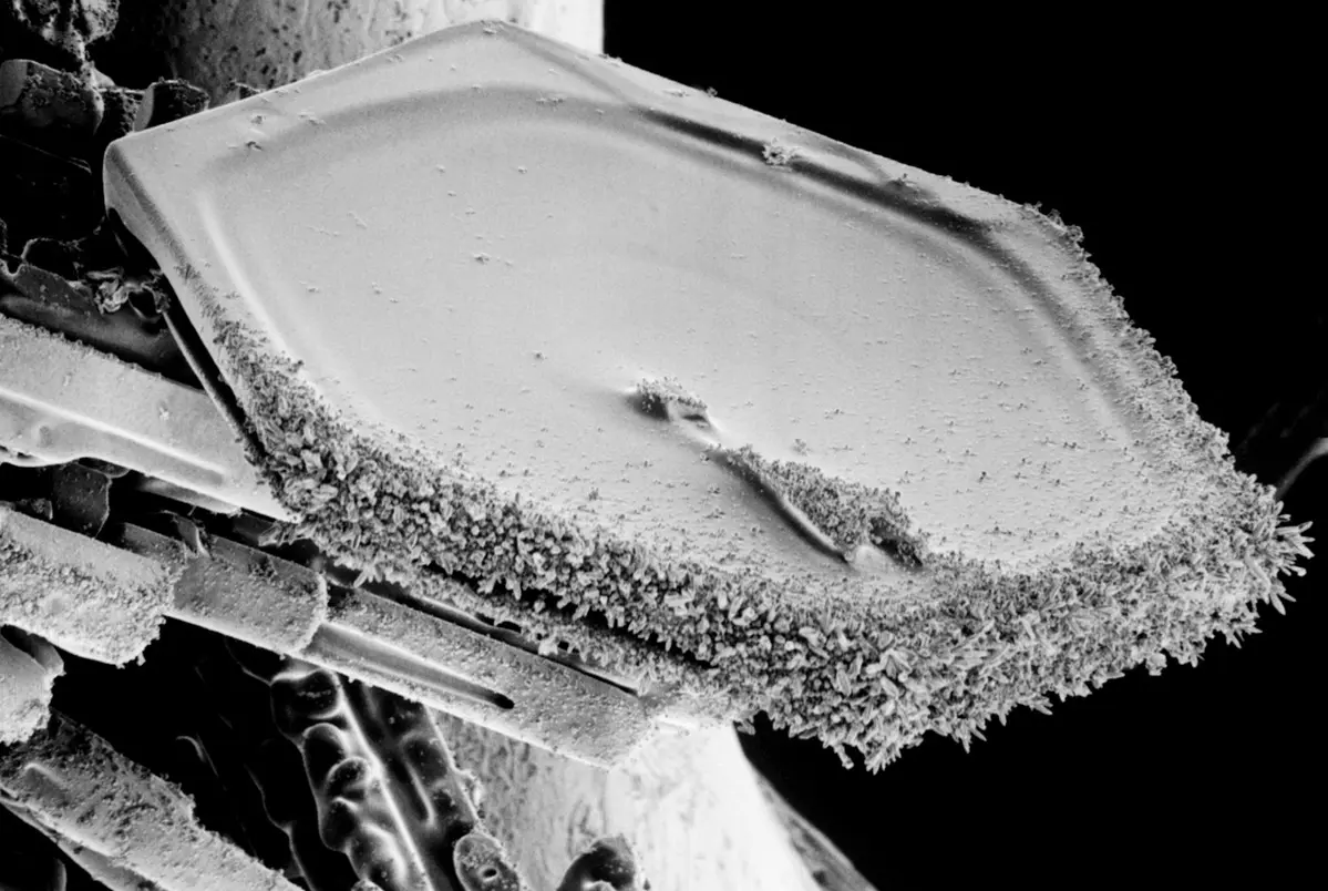 Electron microscope image of rime ice.